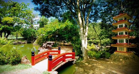 Jardim Japonês em Caldas Novas